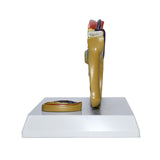 Maxbell Male Reproductive System Model Teaching Aid Realistic Training Anatomy Model