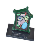 Maxbell Plant Cell Model Versatile Teaching Aid Plant Cell Anatomy Model for Display