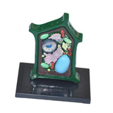 Maxbell Plant Cell Model Versatile Teaching Aid Plant Cell Anatomy Model for Display