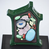 Maxbell Plant Cell Model Versatile Teaching Aid Plant Cell Anatomy Model for Display
