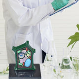 Maxbell Plant Cell Model Versatile Teaching Aid Plant Cell Anatomy Model for Display