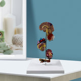 Maxbell Human Organs Toy Realistic 3D Organs Model for Age 4+ Preschool School