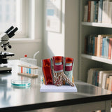 Maxbell Human Blood Vessel Model Educational with Base for School Learning Classroom