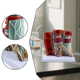 Maxbell Human Blood Vessel Model Educational with Base for School Learning Classroom