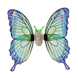 Maxbell Fairy Attachment Lighted Butterfly Attachment Dressing up for Girls Holiday