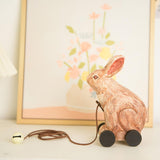 Maxbell Wooden Pull Toy Bunny Fine Motor Skill for Party Supplies Babies Boys Girls