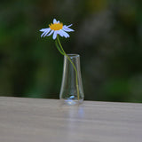 Maxbell 2x Dollhouse Miniature Vases Lovely Vase Model Jar for Adults Teenagers Kids