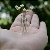 Maxbell 2x Dollhouse Miniature Vases Lovely Vase Model Jar for Adults Teenagers Kids