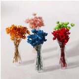 Maxbell 2x Dollhouse Miniature Vases Lovely Vase Model Jar for Adults Teenagers Kids