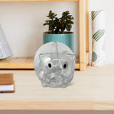 Maxbell Piggy Bank Transparent Home Decor Craft for Kids Great Gift Unique Money Pot