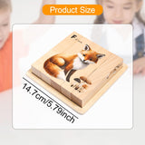 Maxbell Wooden Puzzle Cognitive Development Brain Teaser Toy 4 in 1 Block Puzzle Toy