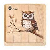 Maxbell Wooden Puzzle Cognitive Development Brain Teaser Toy 4 in 1 Block Puzzle Toy