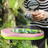 Maxbell Silkworm Terrariums Breeding Box Pet House Development Toy Reptile Terrarium pink