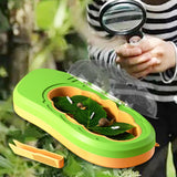 Maxbell Silkworm Terrariums Breeding Box Pet House Development Toy Reptile Terrarium green