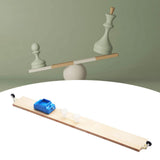 Maxbell Two Force Balance Physical Scientific Experiment Set for Children Girls Boys Without 6 Hole Block