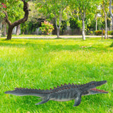 Maxbell Dinosaur Toy Statue Display Dinosaur Figure for Desk Home Housewarming Style A