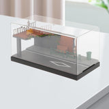 Maxbell 1/64 Model Diecast Car Diorama Display Case for Car Model Tiny Figures Decor Style A