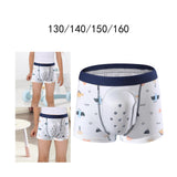 Maxbell Circumcision Post Surgery Underwear Soft Reduce Friction for Boys