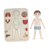 Maxbell Body Puzzle for Kids Wooden Toy Jigsaw for Boys Girls Preschool Learning Toy