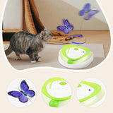 Maxbell Electronic Interactive Cat Toy Intelligent Companion 2 in 1 Automatic Teaser