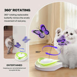 Maxbell Electronic Interactive Cat Toy Intelligent Companion 2 in 1 Automatic Teaser