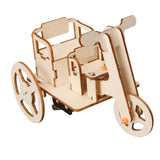 Maxbell TOY Wood Puzzles Self Assembly Tricycle Model DIY Educational Toy for Adults