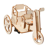 Maxbell TOY Wood Puzzles Self Assembly Tricycle Model DIY Educational Toy for Adults