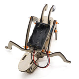 Maxbell Robot Model Kit Wooden Middle School Science Project DIY Science Project Toy