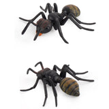 Maxbell 9Pcs Realistic Animal Toys Mini Action Model for Classroom School Boys Girls