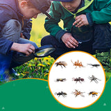 Maxbell 9Pcs Realistic Animal Toys Mini Action Model for Classroom School Boys Girls