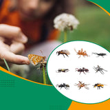 Maxbell 9Pcs Realistic Animal Toys Mini Action Model for Classroom School Boys Girls