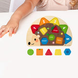 Maxbell Toy Shape Sorter Board for 1-3 Year Old Preschool Playroom