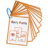 Maxbell Body Parts Flash Cards Cognitive Educational Toys Kindergarten Baby Children