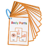 Maxbell Body Parts Flash Cards Cognitive Educational Toys Kindergarten Baby Children