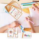 Maxbell Body Parts Flash Cards Cognitive Educational Toys Kindergarten Baby Children