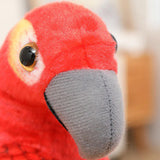 Maxbell Plush Bird Stuffed Toy Stuffed Animal Toy Small Bird for 19.69inchx10.24inch Red Blue Yellow