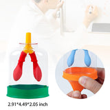 Maxbell Lung Demonstration Model DIY Science Learning for Boys and Girls Gift School