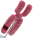 Maxbell x Chromosome Model Sturdy Meiosis Organelle Cell for Classroom Science Study