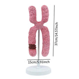 Maxbell x Chromosome Model Sturdy Meiosis Organelle Cell for Classroom Science Study