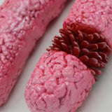 Maxbell x Chromosome Model Sturdy Meiosis Organelle Cell for Classroom Science Study