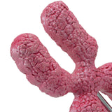 Maxbell x Chromosome Model Sturdy Meiosis Organelle Cell for Classroom Science Study