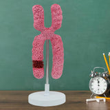Maxbell x Chromosome Model Sturdy Meiosis Organelle Cell for Classroom Science Study