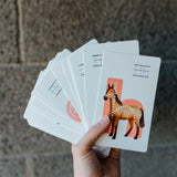 Maxbell Toddlers Flash Cards Fun Alphabet Flashcards for Kindergarten Preschool Kids