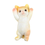 Maxbell Cat Squeeze Fidget Toy Gift Soft Portable Sensory Toy for Playing Party Home