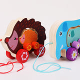 Maxbell Pull Along Toy Sensory Interactive for Birthday Pretend Play Early Education Hedgehog