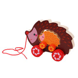 Maxbell Pull Along Toy Sensory Interactive for Birthday Pretend Play Early Education Hedgehog