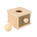 Ball Drop Box Children Fine Motor Skills Teaching Aids Object Permanence Box
