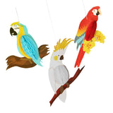 Maxbell 6 Pieces Rainbow Hanging Room Parrots Decor Kids Tropical Party Wall Bird