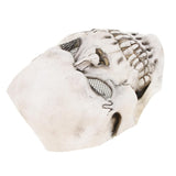 Maxbell Halloween Costume Party Latex Overhead Mask - Half A Face Skeleton