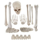 Maxbell Horrific Skeleton Bones 12 Pieces with Skull for Halloween Party Decorations